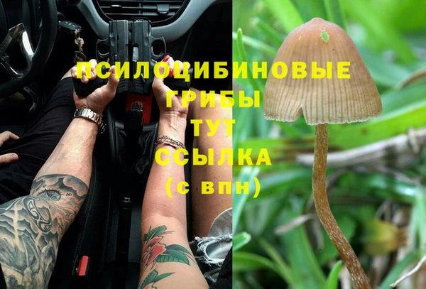 метадон Армянск