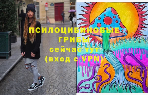 метадон Армянск