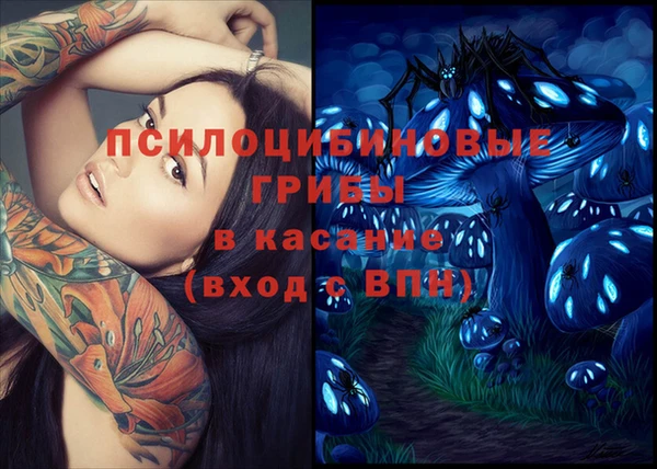 амф Арсеньев